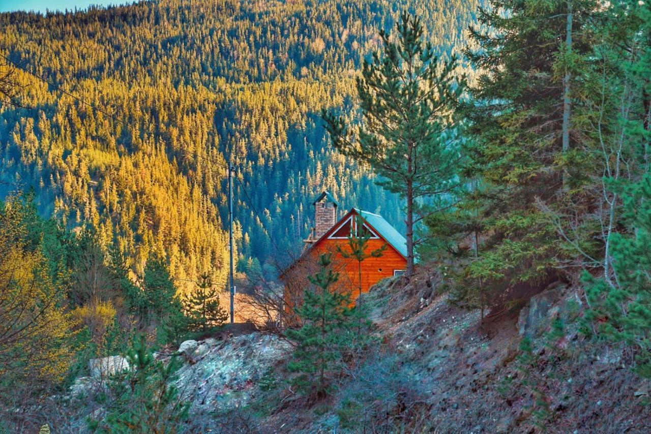 Cozy Cottage Feel Free Continental Didi Ateni Exterior foto