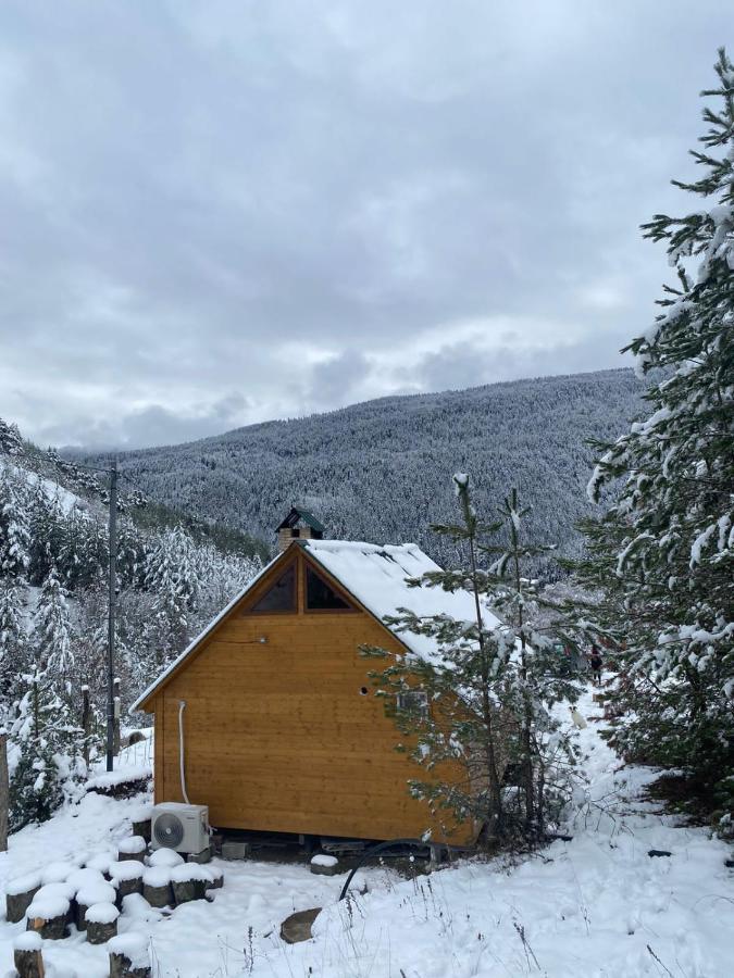 Cozy Cottage Feel Free Continental Didi Ateni Exterior foto
